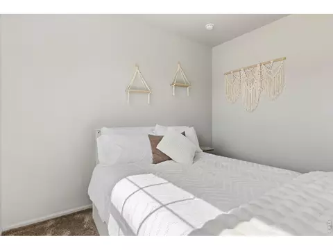 902 Pierson Ct, Windsor, CO 80550 photo 24