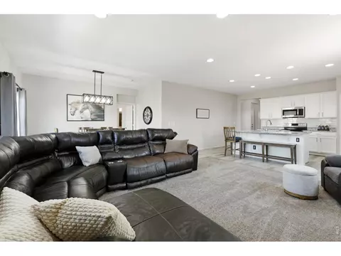 902 Pierson Ct, Windsor, CO 80550 photo 4