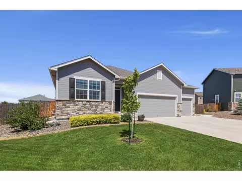 902 Pierson Ct, Windsor, CO 80550 photo 3