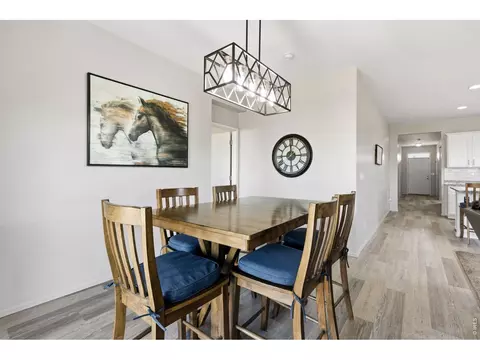 902 Pierson Ct, Windsor, CO 80550 photo 14