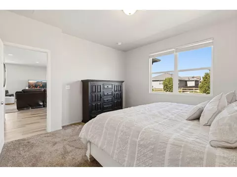 902 Pierson Ct, Windsor, CO 80550 photo 18