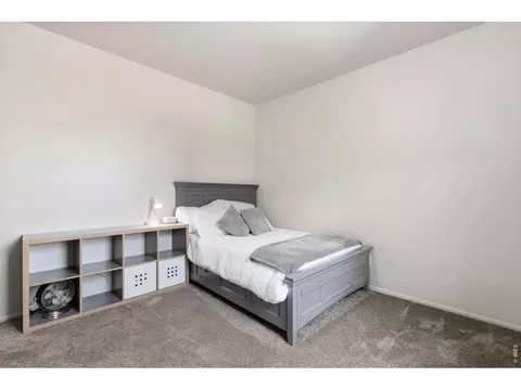 902 Pierson Ct, Windsor, CO 80550 photo 29