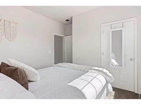 902 Pierson Ct, Windsor, CO 80550 photo 25