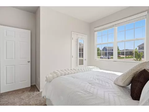 902 Pierson Ct, Windsor, CO 80550 photo 23