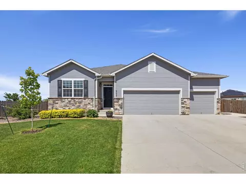 902 Pierson Ct, Windsor, CO 80550 photo 41
