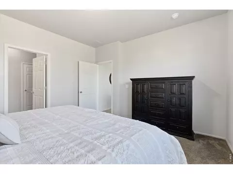 902 Pierson Ct, Windsor, CO 80550 photo 19