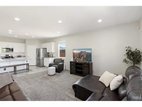 902 Pierson Ct, Windsor, CO 80550 photo 7