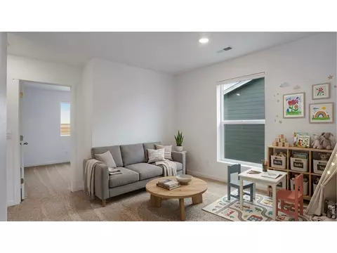 Other - 321 Fiord Way, Severance, CO 80550 photo 4 of 4