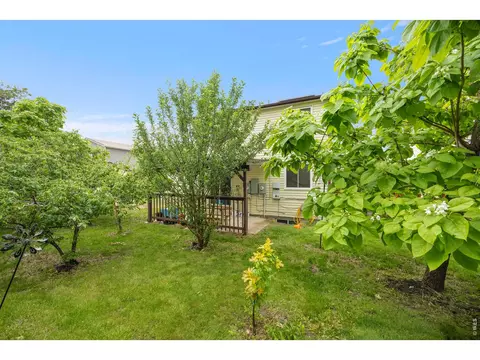 Exterior - 4414 E 94th Ave, Thornton, CO 80229 photo 5 of 6