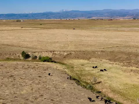 4 Cr 82, Wellington, CO 80549