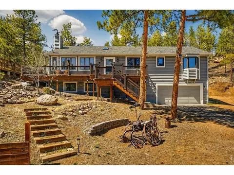 16687 Ouray Rd, Pine, CO 80470