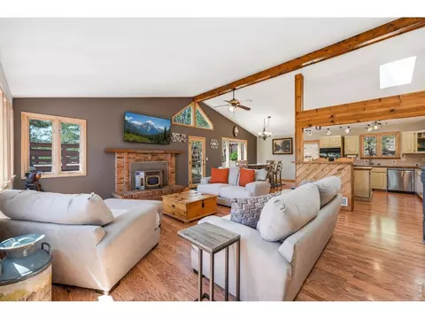 16687 Ouray Rd, Pine, CO 80470