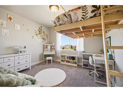 Bedroom - 1411 Coues Deer Dr, Severance, CO 80550 photo 5 of 5