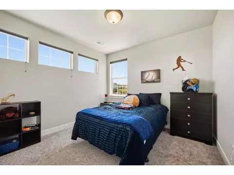 Bedroom - 1411 Coues Deer Dr, Severance, CO 80550 photo 4 of 5