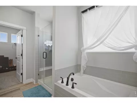 Bath - 1411 Coues Deer Dr, Severance, CO 80550 photo 2 of 4
