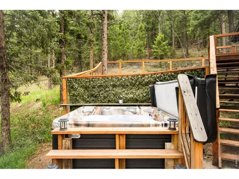 Exterior - 257 Lo Meadow Ln, Bailey, CO 80421 photo 12 of 14