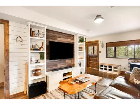 Living - 257 Lo Meadow Ln, Bailey, CO 80421 photo 3 of 7