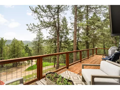 Exterior - 257 Lo Meadow Ln, Bailey, CO 80421 photo 10 of 14