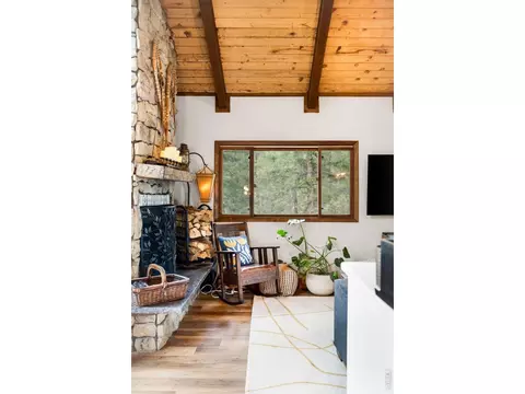 Living - 257 Lo Meadow Ln, Bailey, CO 80421 photo 5 of 7