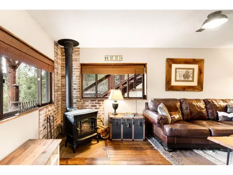 Living - 257 Lo Meadow Ln, Bailey, CO 80421 photo 1 of 7