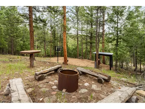 Exterior - 257 Lo Meadow Ln, Bailey, CO 80421 photo 14 of 14