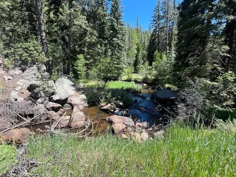 Other - 257 Lo Meadow Ln, Bailey, CO 80421 photo 7 of 7