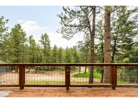 Exterior - 257 Lo Meadow Ln, Bailey, CO 80421 photo 8 of 14