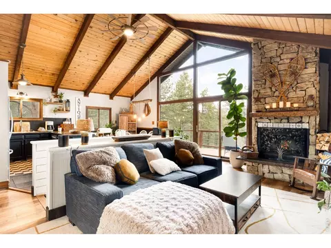 Living - 257 Lo Meadow Ln, Bailey, CO 80421 photo 7 of 7