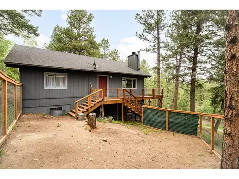 Exterior - 257 Lo Meadow Ln, Bailey, CO 80421 photo 13 of 14
