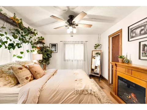 Bedroom - 257 Lo Meadow Ln, Bailey, CO 80421 photo 5 of 8