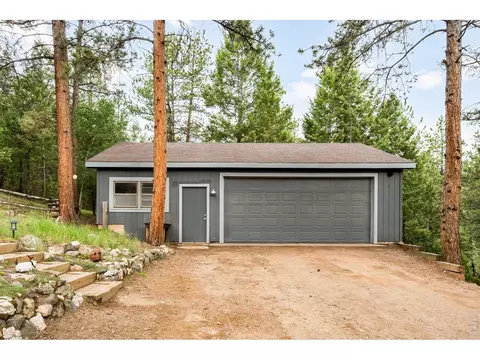 Other - 257 Lo Meadow Ln, Bailey, CO 80421 photo 4 of 7