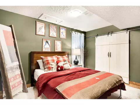 Bedroom - 257 Lo Meadow Ln, Bailey, CO 80421 photo 2 of 8