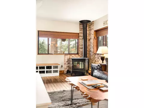 Living - 257 Lo Meadow Ln, Bailey, CO 80421 photo 4 of 7
