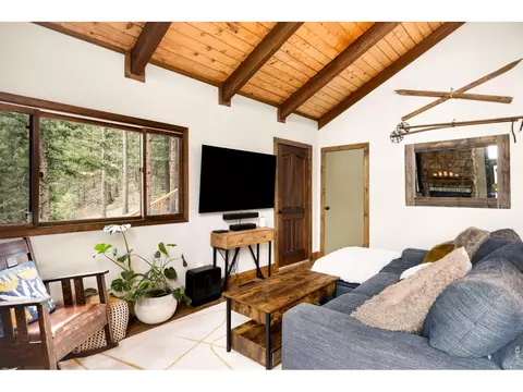 Living - 257 Lo Meadow Ln, Bailey, CO 80421 photo 6 of 7