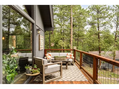 Exterior - 257 Lo Meadow Ln, Bailey, CO 80421 photo 9 of 14