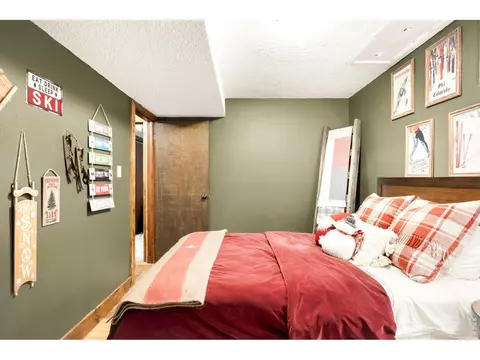 Bedroom - 257 Lo Meadow Ln, Bailey, CO 80421 photo 1 of 8