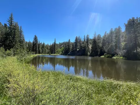 View/Area - 257 Lo Meadow Ln, Bailey, CO 80421 photo 3 of 3