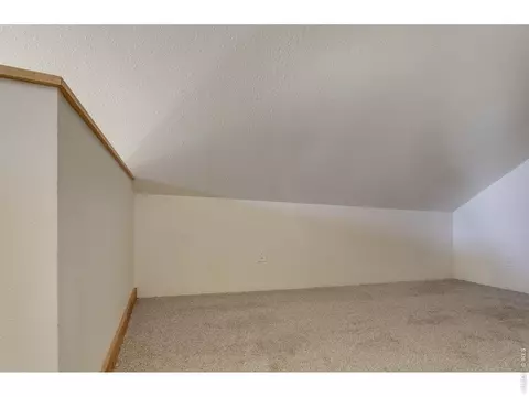 Other - 1893 Colard Ln, Lyons, CO 80540 photo 5 of 21