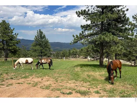 Other - 1893 Colard Ln, Lyons, CO 80540 photo 1 of 21