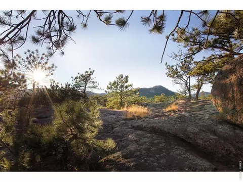 Other - 1893 Colard Ln, Lyons, CO 80540 photo 21 of 21