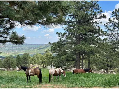 Other - 1893 Colard Ln, Lyons, CO 80540 photo 18 of 21
