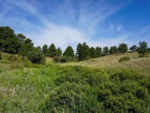 0 Stub Ct, Livermore, CO 80536
