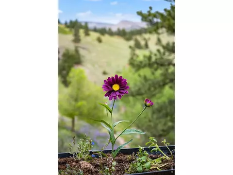Other - 7267 Olde Stage Rd, Boulder, CO 80302 photo 5 of 6