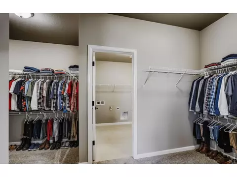 Other - 662 Noola St, Windsor, CO 80550 photo 3 of 9
