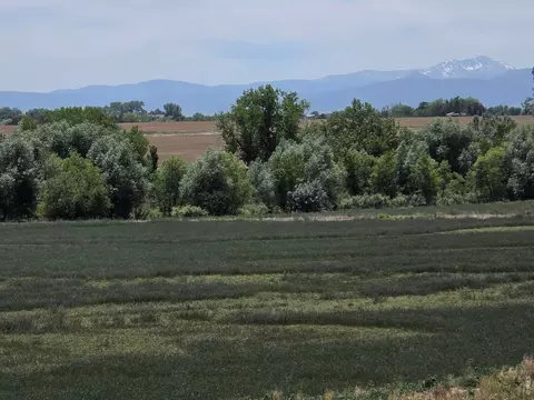 20219 County Road 3, Berthoud, CO 80513