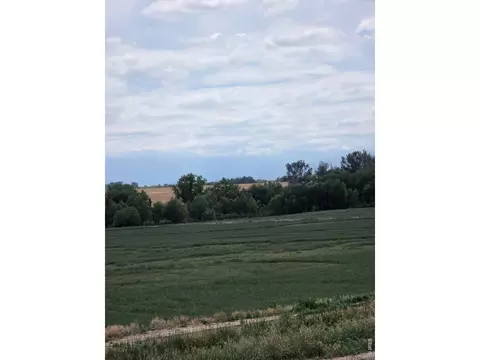 20219 County Road 3, Berthoud, CO 80513