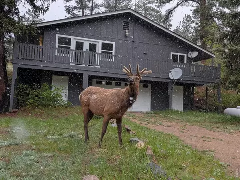 163 W Creek Rd, Glen Haven, CO 80532