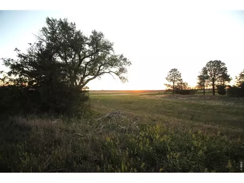Other - 12224 County Road 79, Fleming, CO 80728 photo 18 of 20