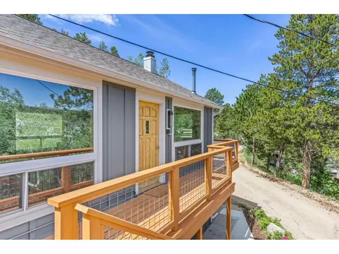 Exterior - 38 E Pine St, Nederland, CO 80466 photo 5 of 8