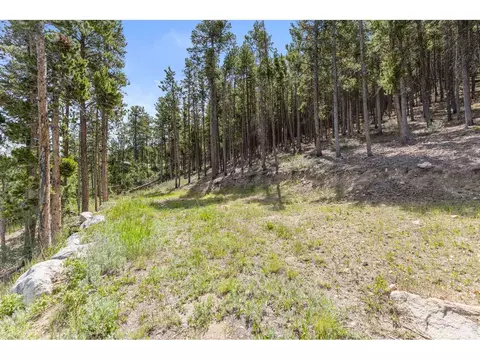 Exterior - 38 E Pine St, Nederland, CO 80466 photo 8 of 8